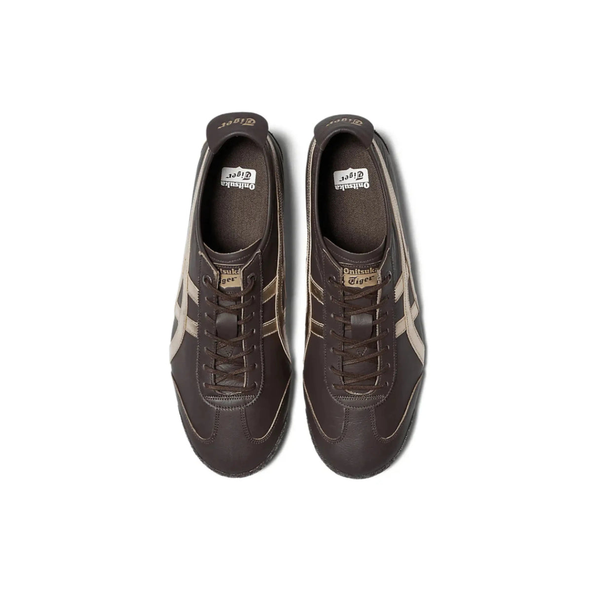 Tiger Mexico 66 SD Licorice Brown Champagne