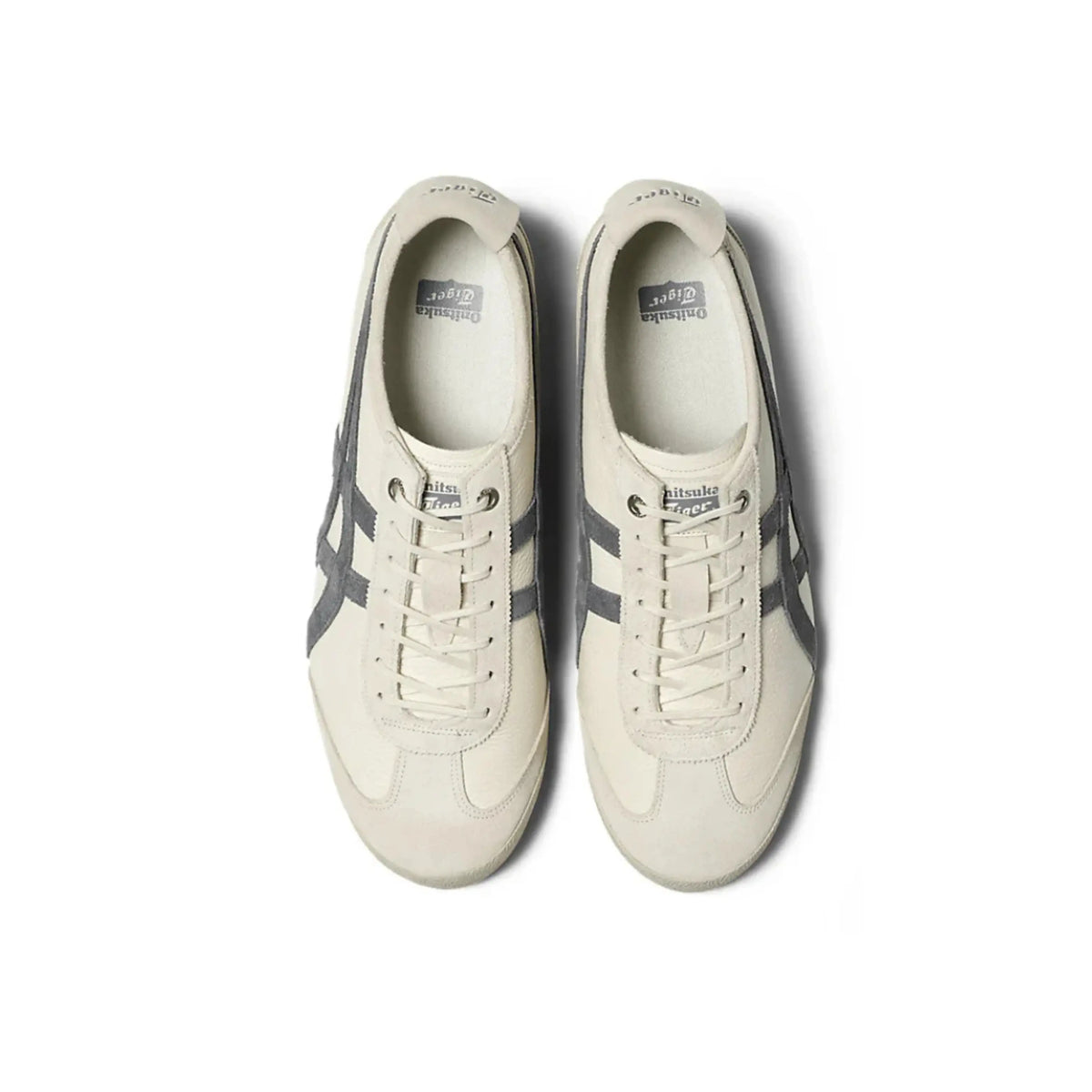 Tiger México 66 SD Brich Peacoat Beige